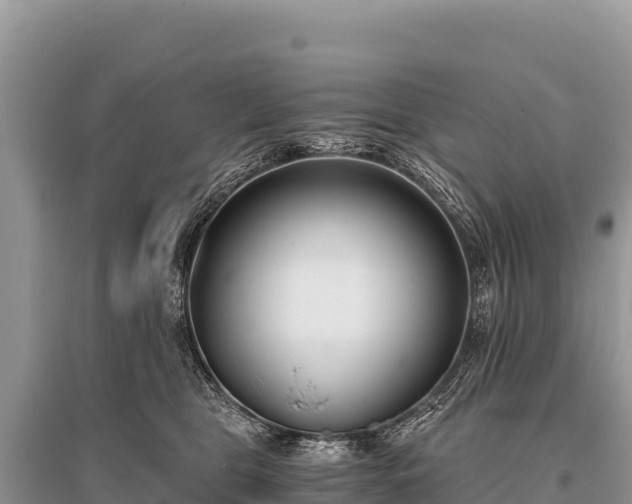 X0000096180469200801251220