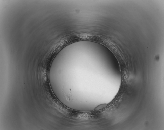 X0000096180470200801251220