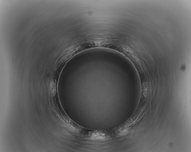 X0000096180471200801251220