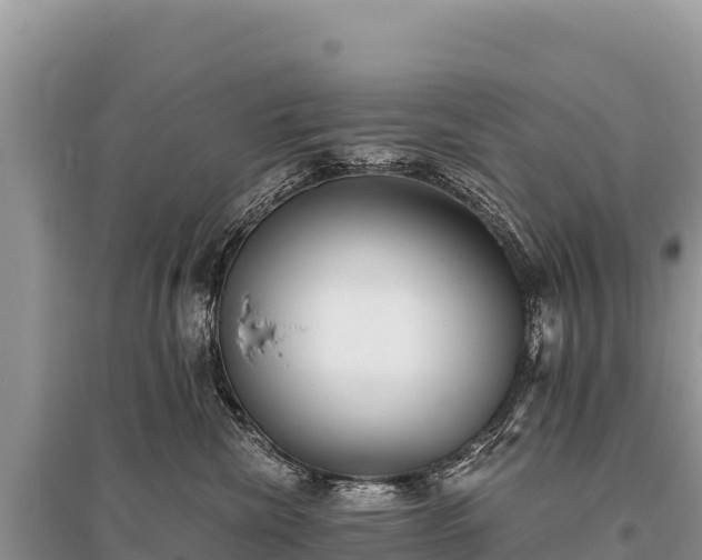 X0000096180476200801251220