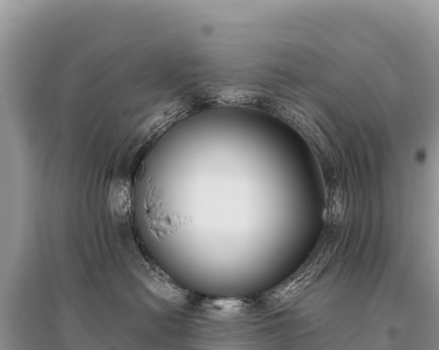 X0000096180478200801251220