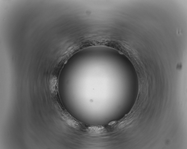 X0000096180480200801251220