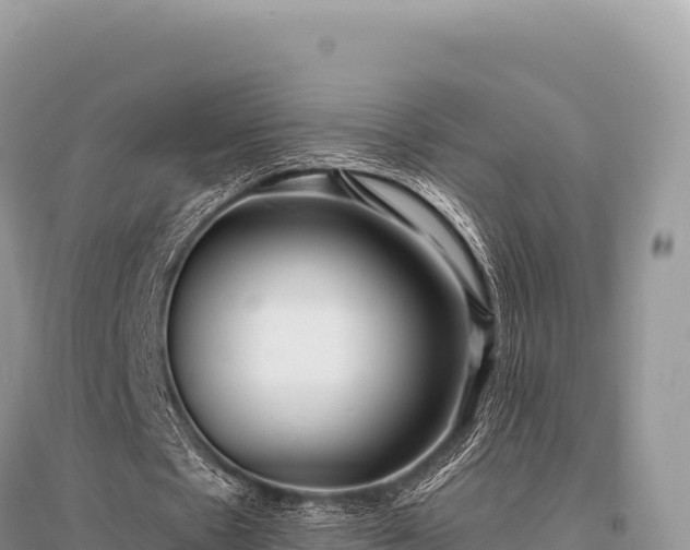 X0000096180481200801251219