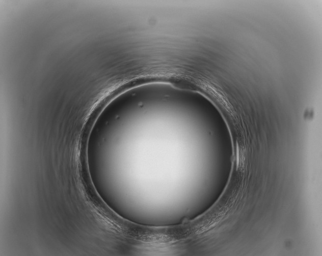 X0000096180483200801251219