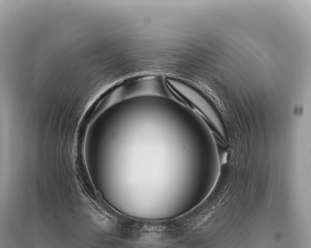 X0000096180484200801251219