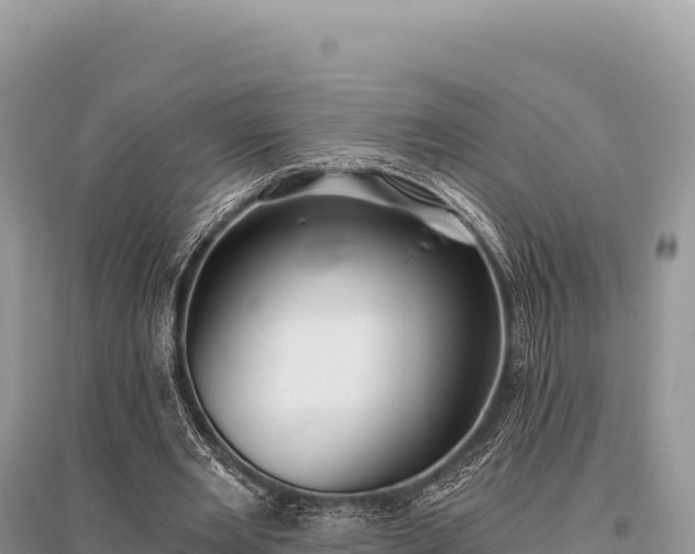 X0000096180485200801251219