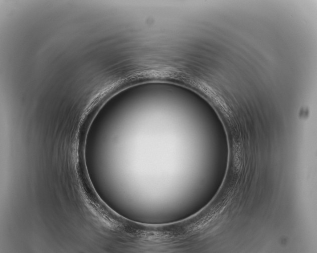 X0000096180486200801251219