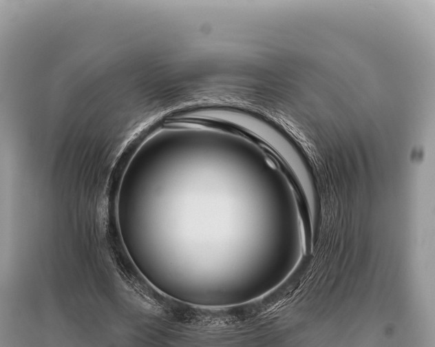X0000096180488200801251219