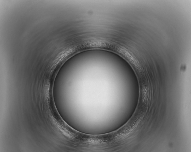 X0000096180490200801251219