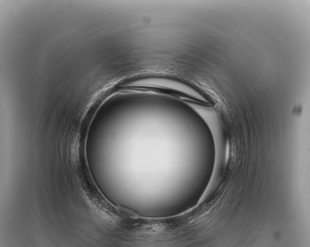 X0000096180492200801251219