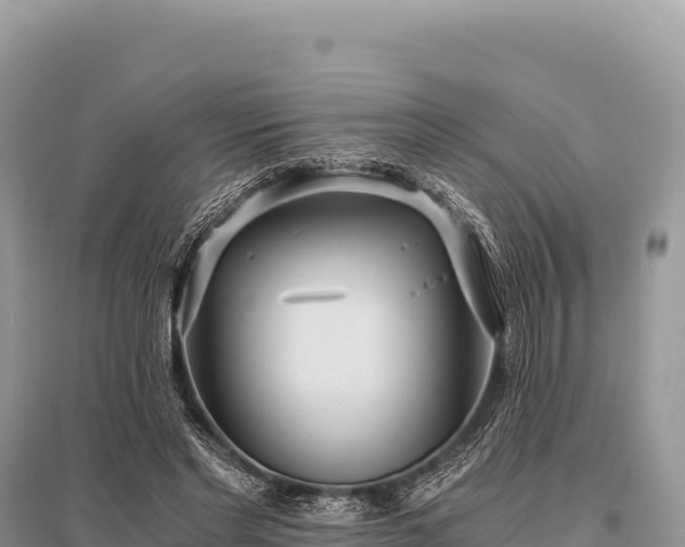 X0000096180493200801251219