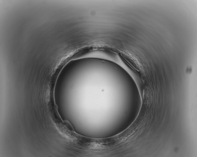 X0000096180496200801251219