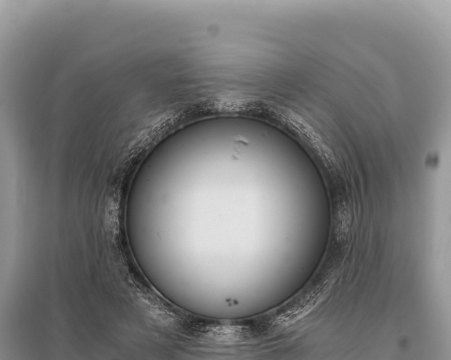 X0000096180497200801251219