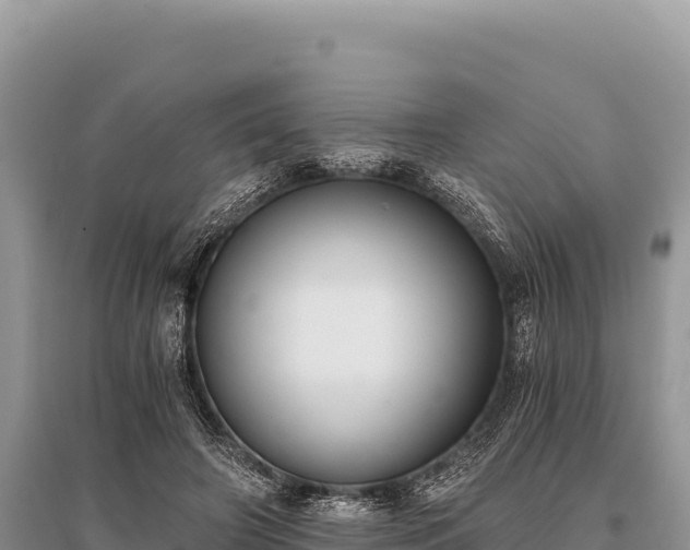 X0000096180498200801251219