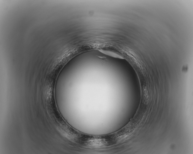 X0000096180499200801251219