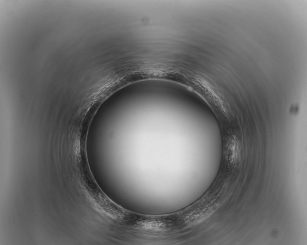 X0000096180500200801251219