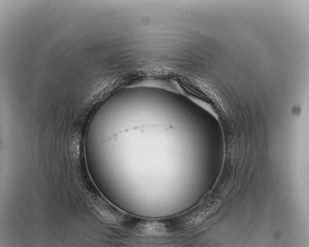 X0000096180501200801251219