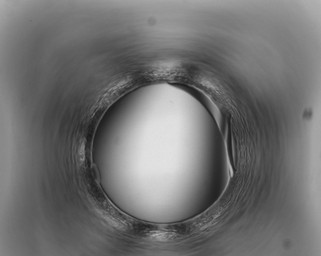 X0000096180504200801251219