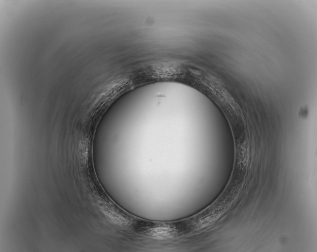 X0000096180505200801251219