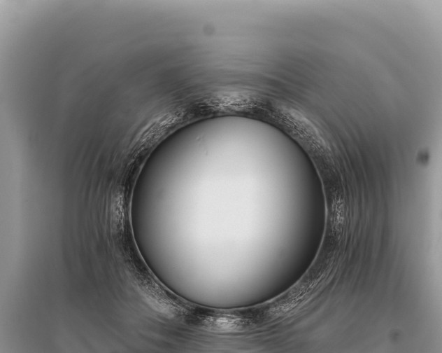 X0000096180506200801251219