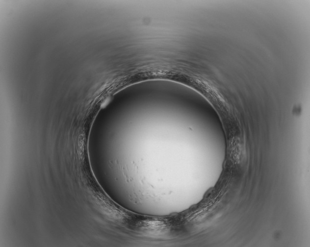 X0000096180509200801251219