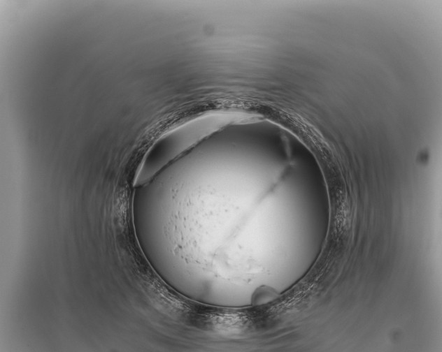 X0000096180513200801251219