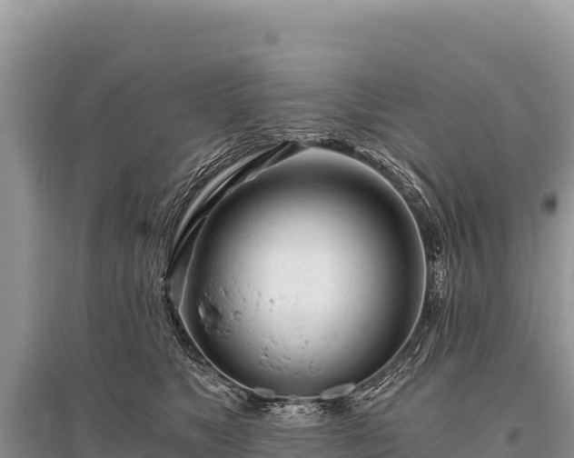 X0000096180517200801251219