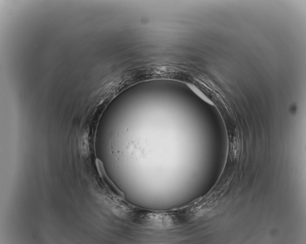 X0000096180520200801251219