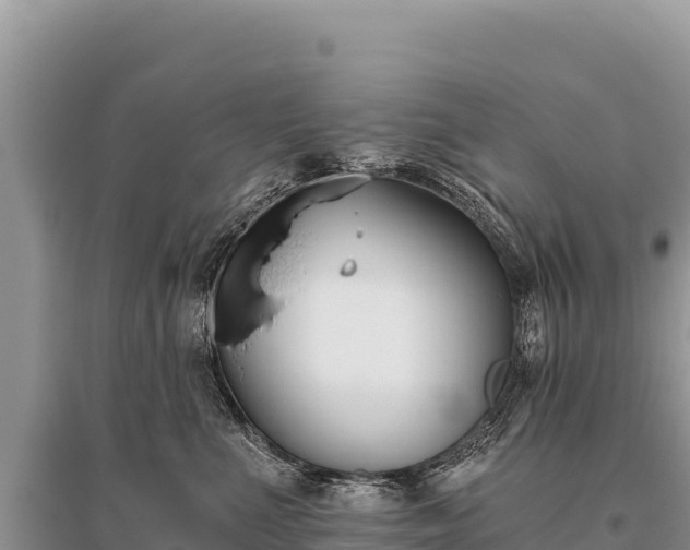 X0000096180523200801251219