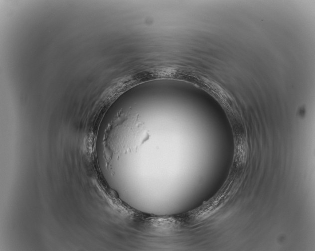 X0000096180525200801251219