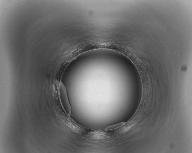 X0000096180528200801251219