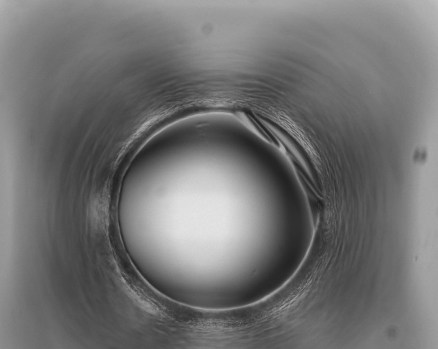 X0000096180530200801251218