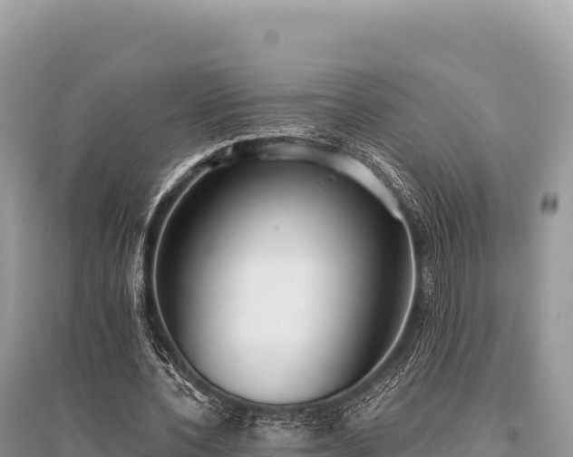 X0000096180532200801251218