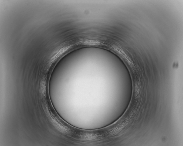 X0000096180533200801251218