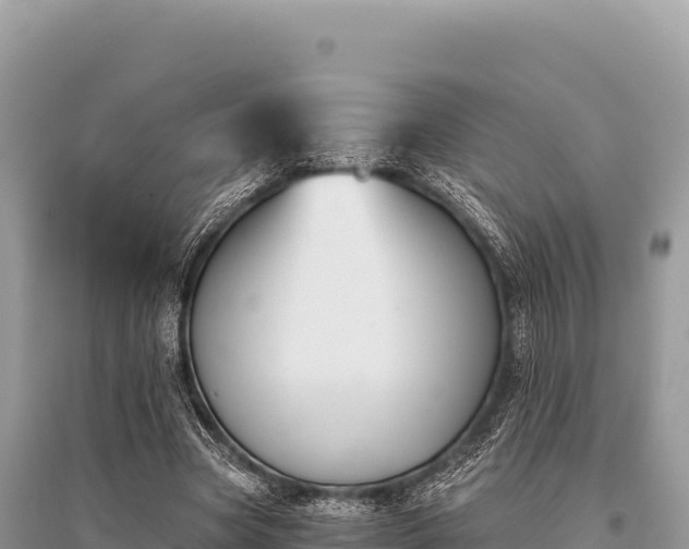 X0000096180537200801251218
