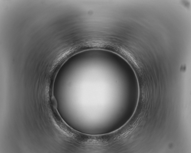 X0000096180538200801251218