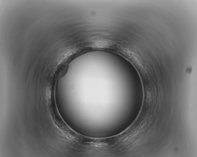 X0000096180539200801251218