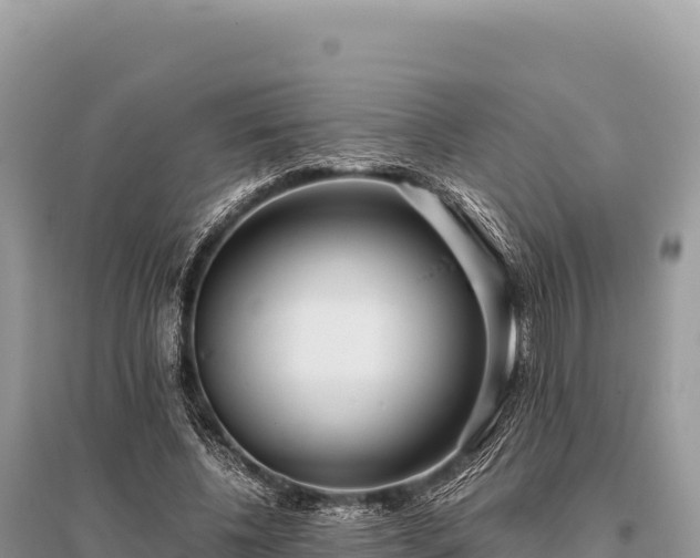 X0000096180540200801251218