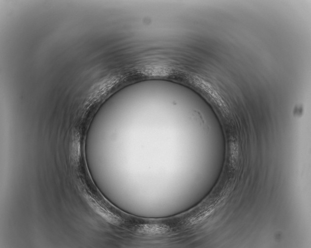 X0000096180541200801251218