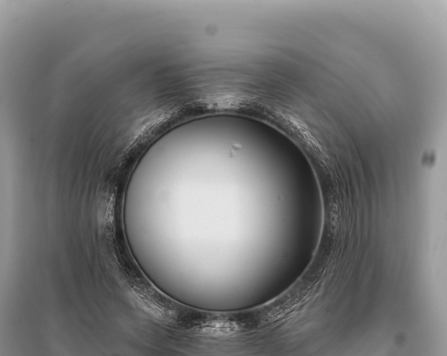 X0000096180543200801251218