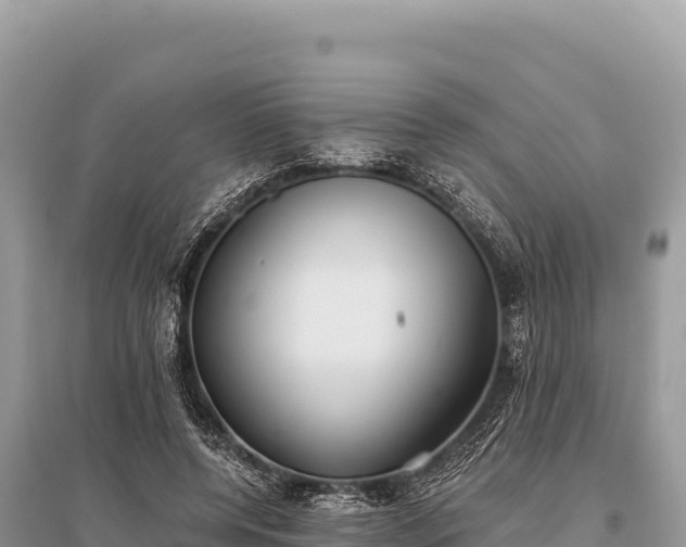 X0000096180544200801251218