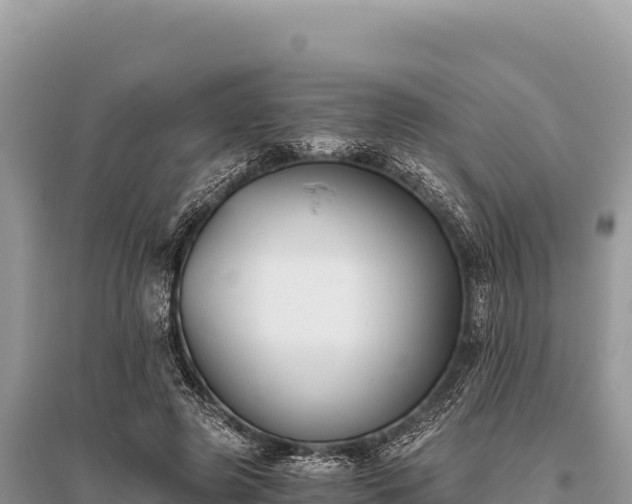X0000096180545200801251218