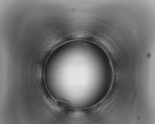 X0000096180546200801251218