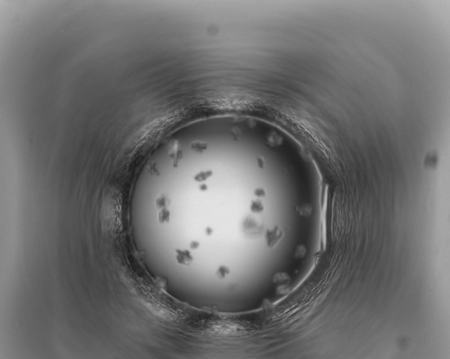 X0000096180547200801251218