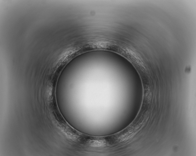 X0000096180548200801251218