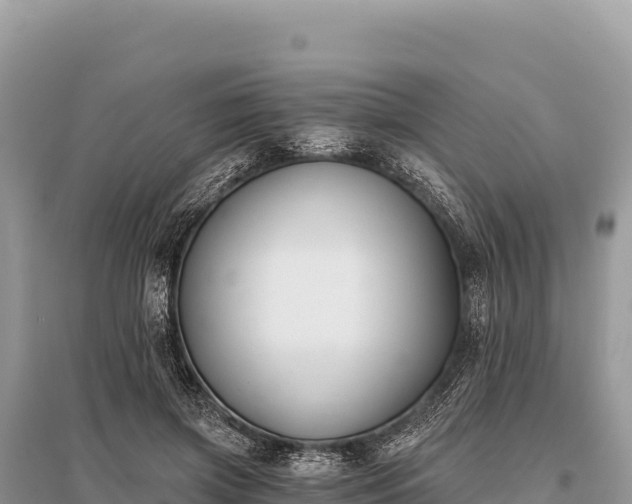 X0000096180549200801251218