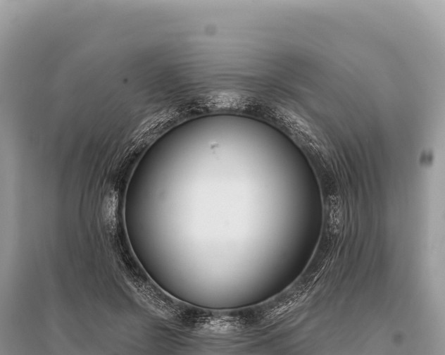 X0000096180550200801251218