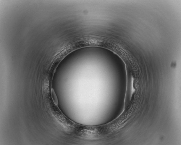 X0000096180552200801251218
