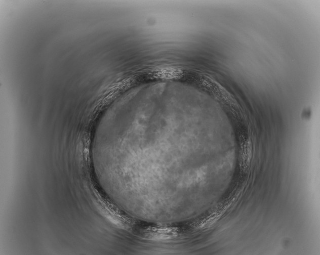 X0000096180553200801251218
