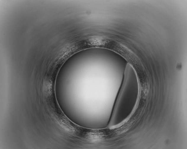 X0000096180556200801251218